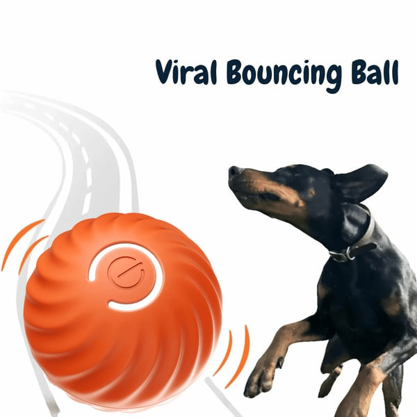 🔥Last Day Promotion 50% OFF- Chewie Viral Bouncing Ball
